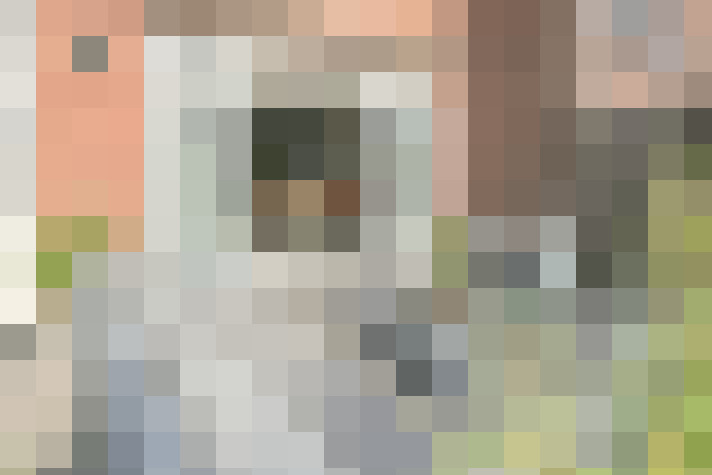 Image 27