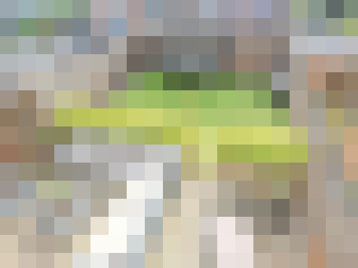 Image 23