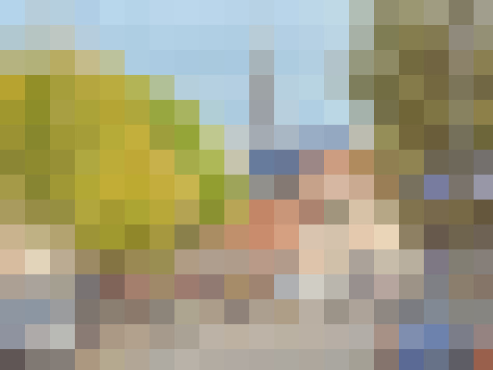 Image 49