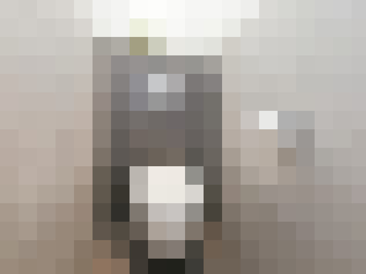 Image 40