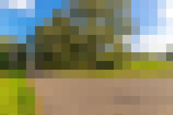 Image 53