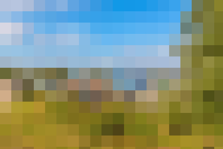 Image 52
