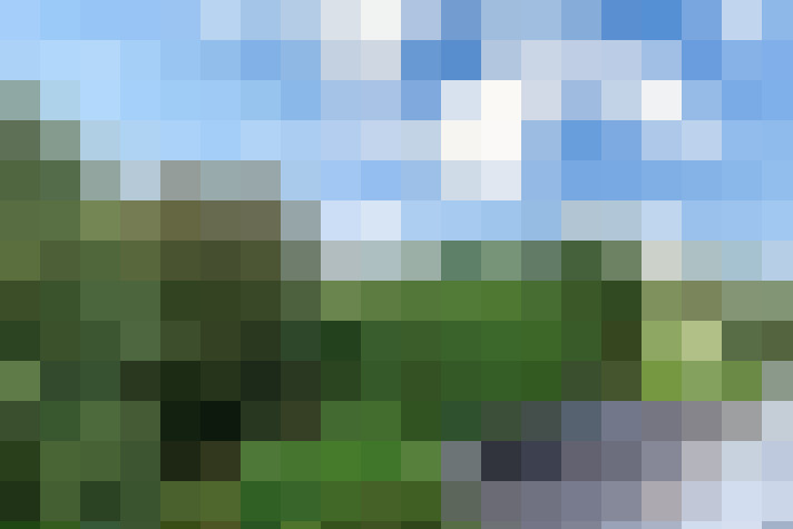 Image 27