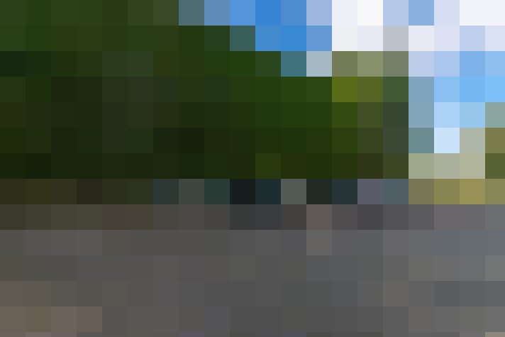 Image 50