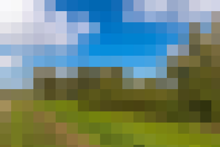 Image 51