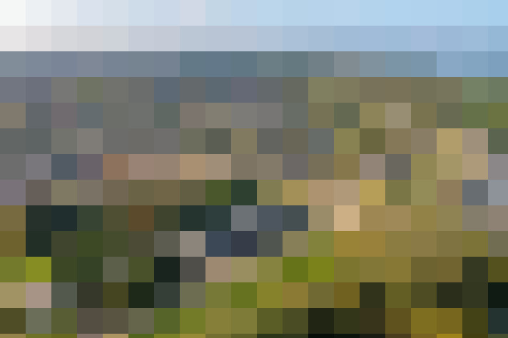 Image 55