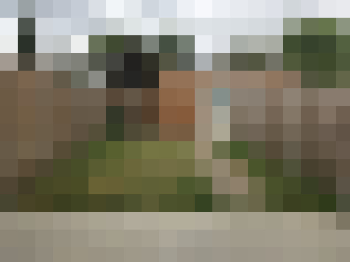 Image 25