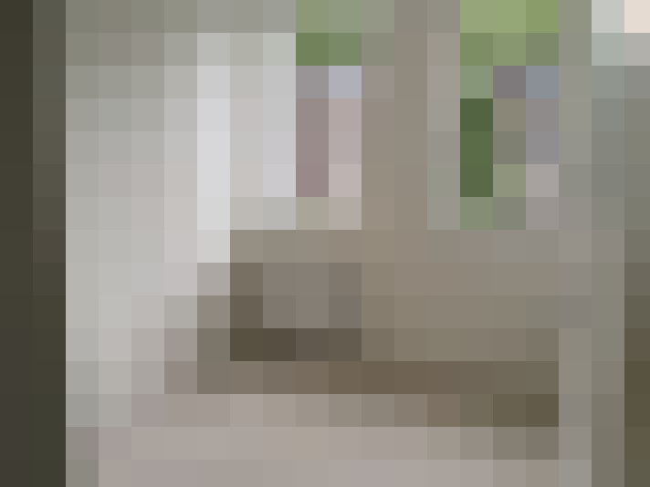 Image 13