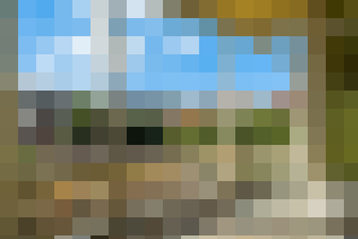 Image 66
