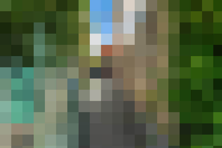 Image 13