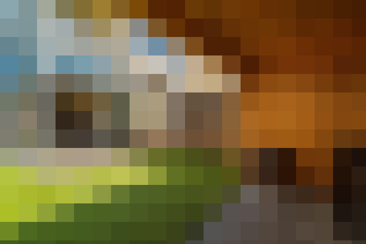 Image 54