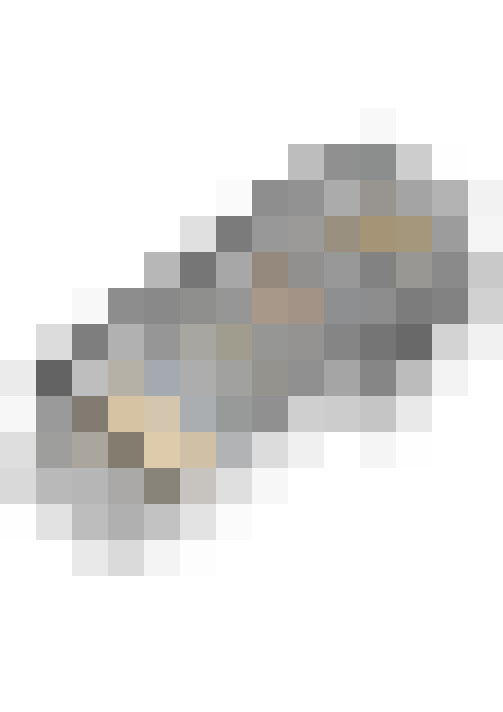 Image 17