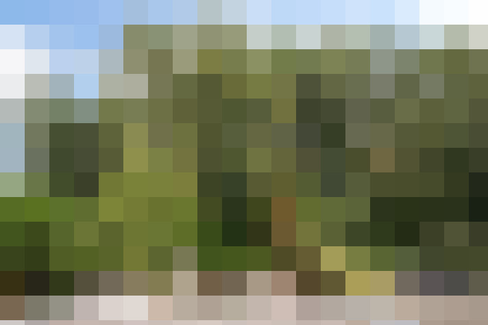 Image 32