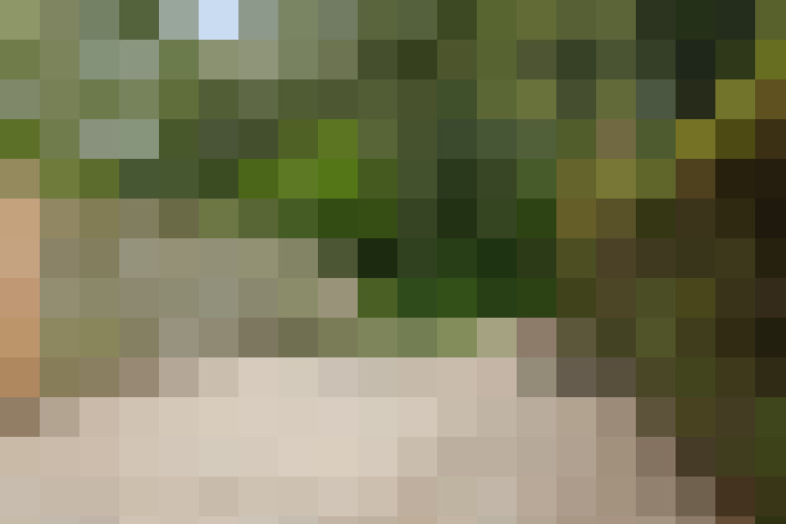 Image 34