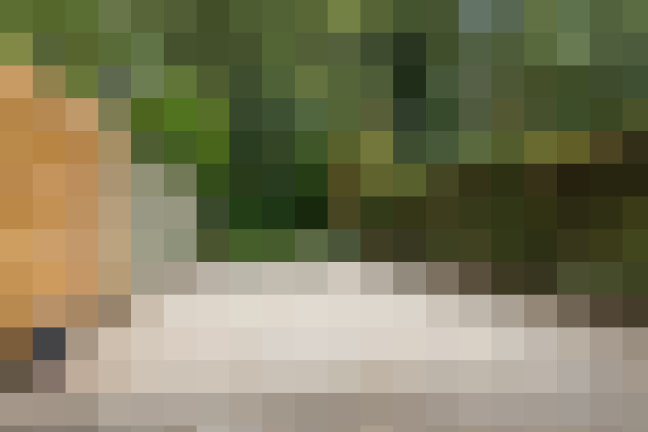 Image 33