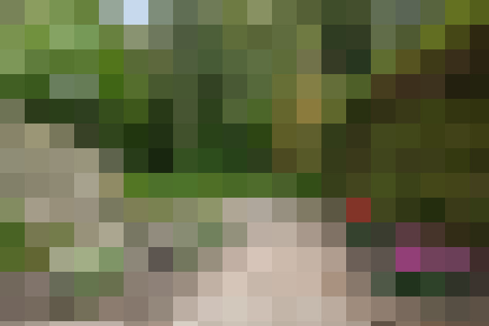 Image 35