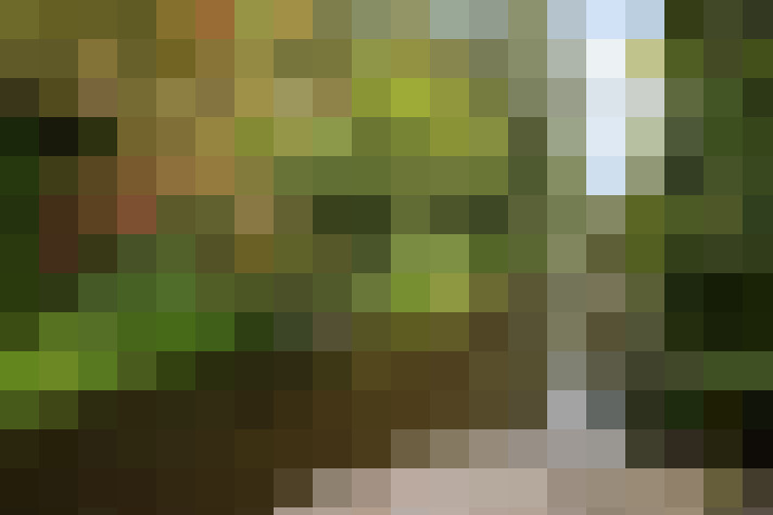 Image 38