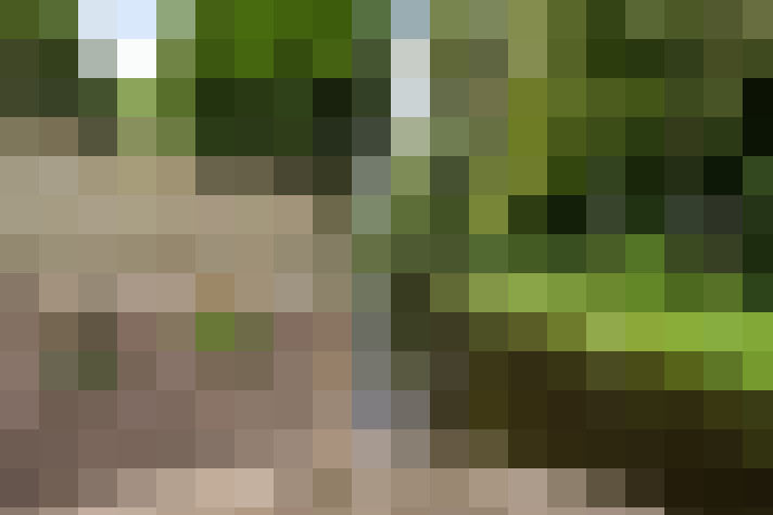 Image 37