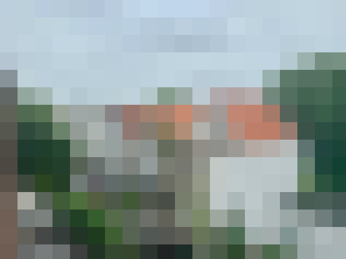Image 17