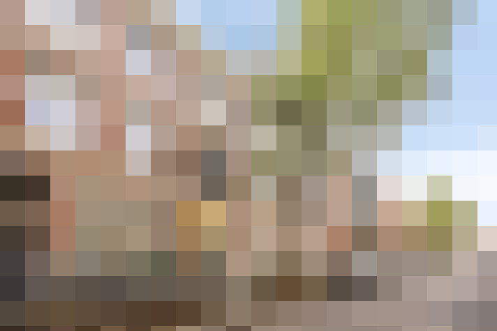 Image 31