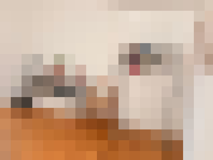 Image 22