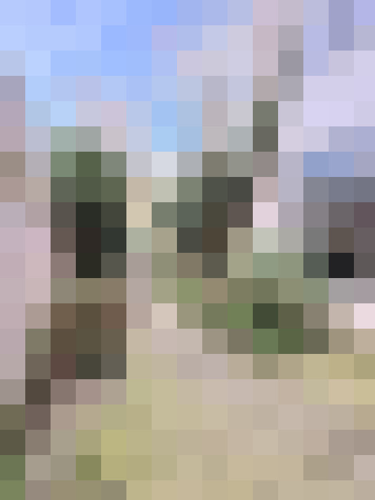  / #16