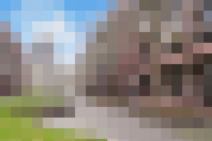 Image 29