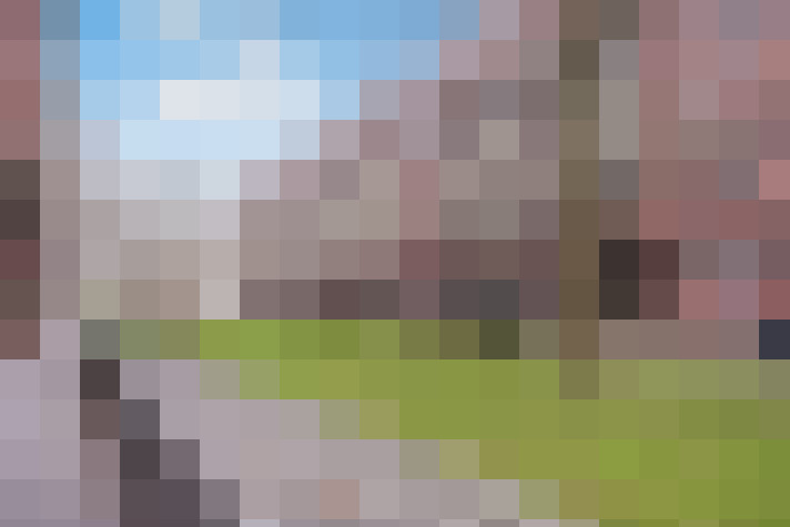Image 28