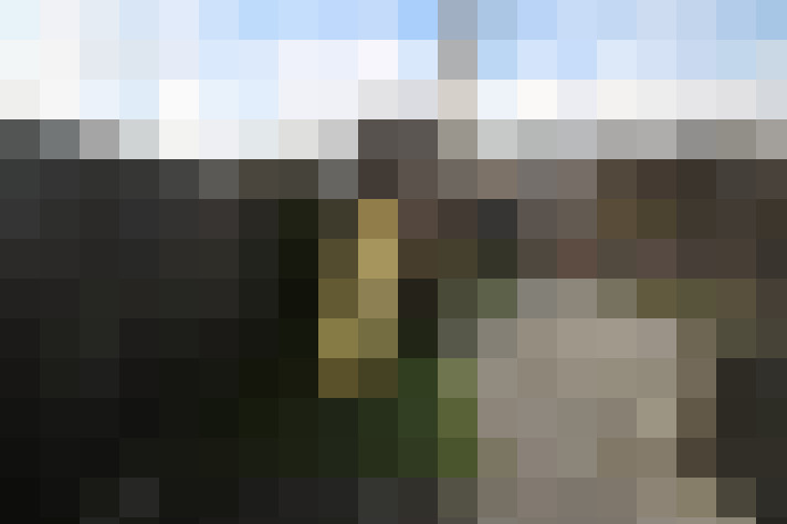 Image 23