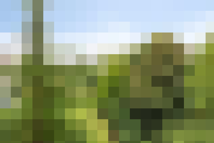 Image 46