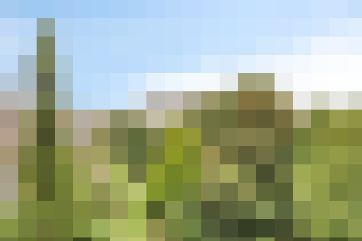 Image 37
