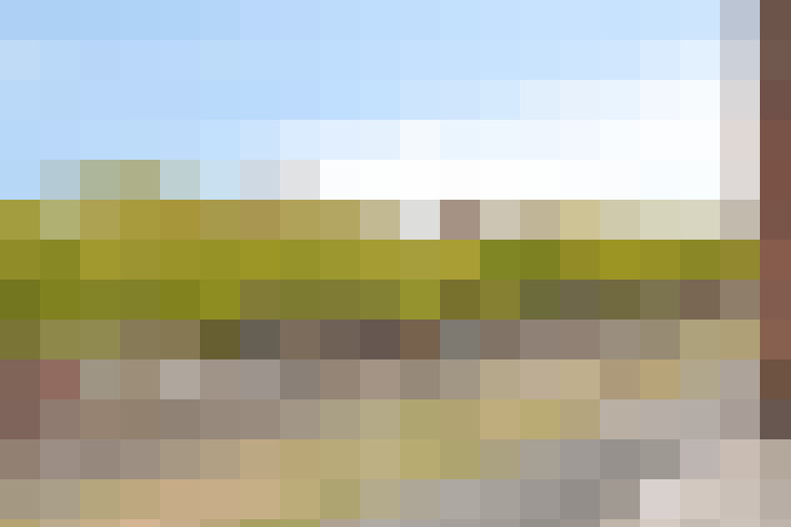 Image 36
