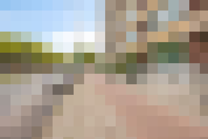 Image 40