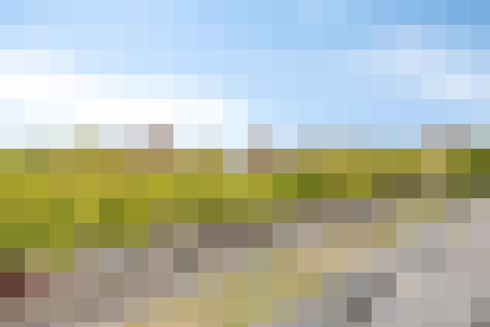 Image 35