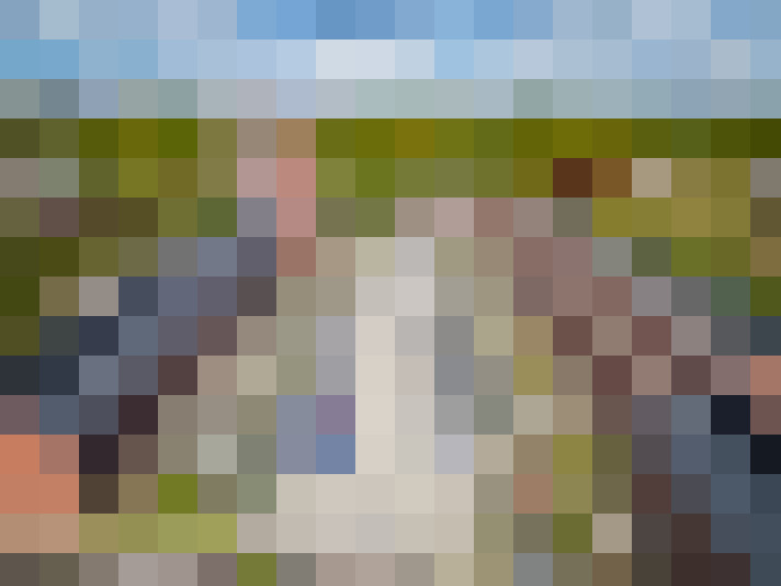 Image 13