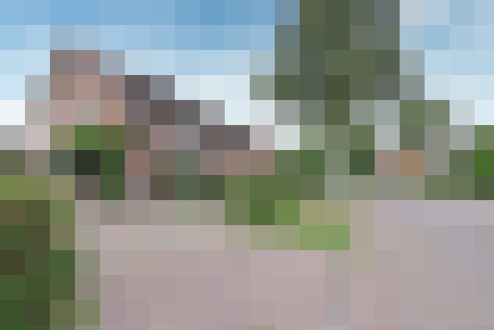 Image 16