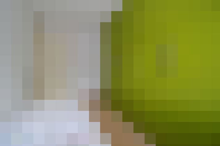 Image 32