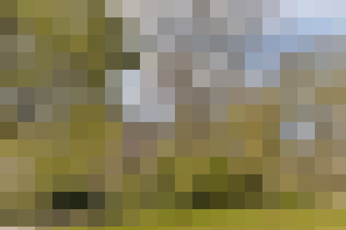 Image 104