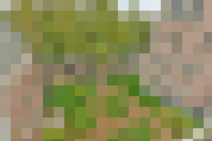 Image 20