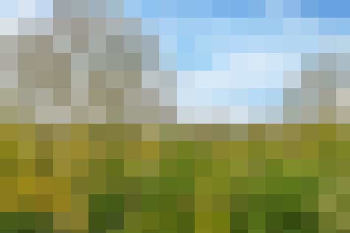 Image 103