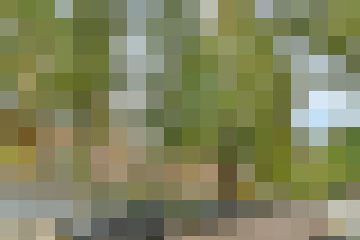 Image 59