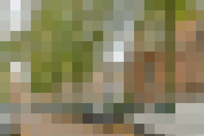 Image 60