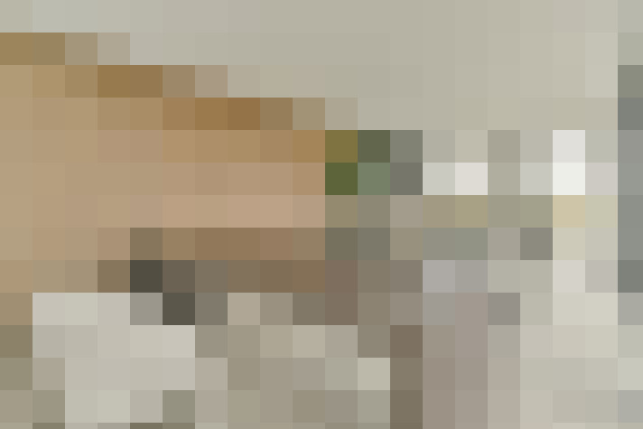 Image 101