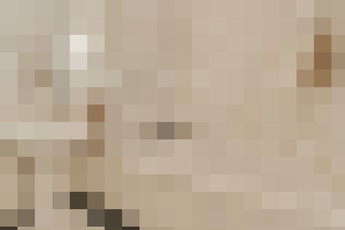 Image 39
