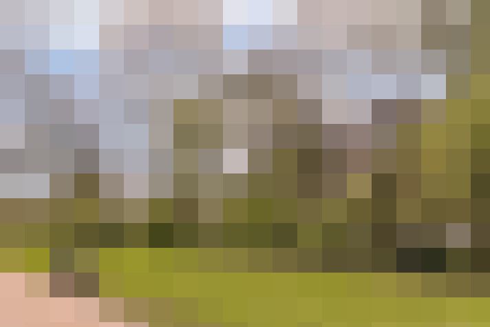 Image 50