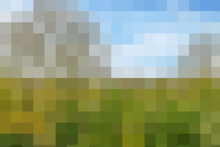 Image 47
