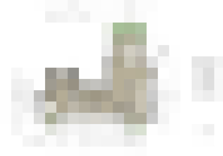 Image 100