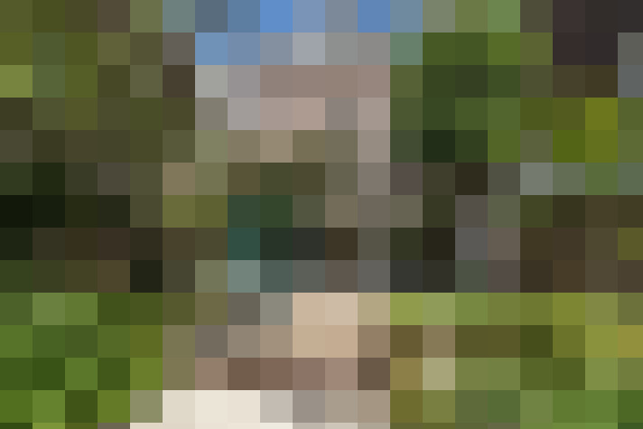 Image 110