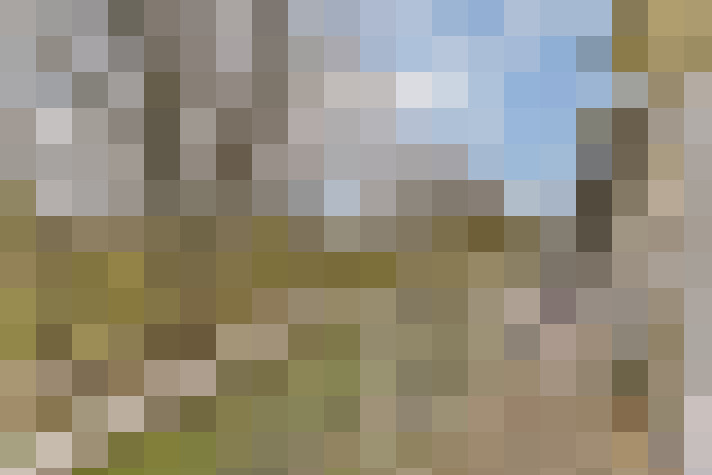 Image 35