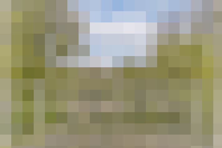 Image 72